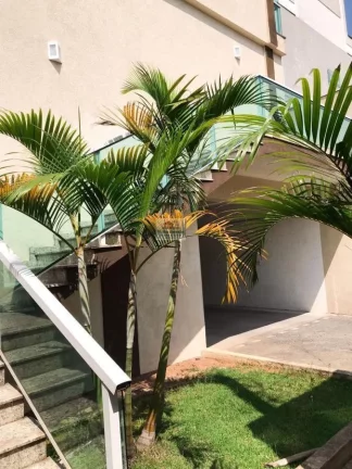 Imagem Casa em Condomínio fechado localizada na Cidade Patriarca