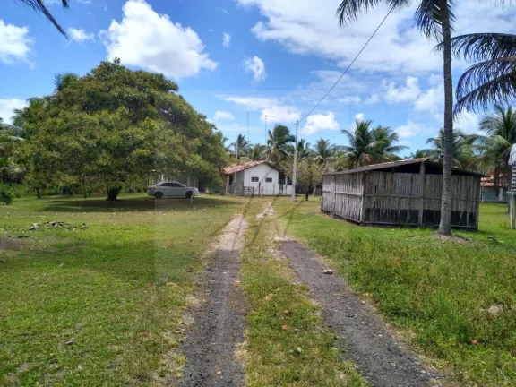 Vendo Fazenda produtiva 250mil m2, Conde / BA