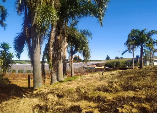 Imagem SITIO RURAL em PITANGA - PR, Rural