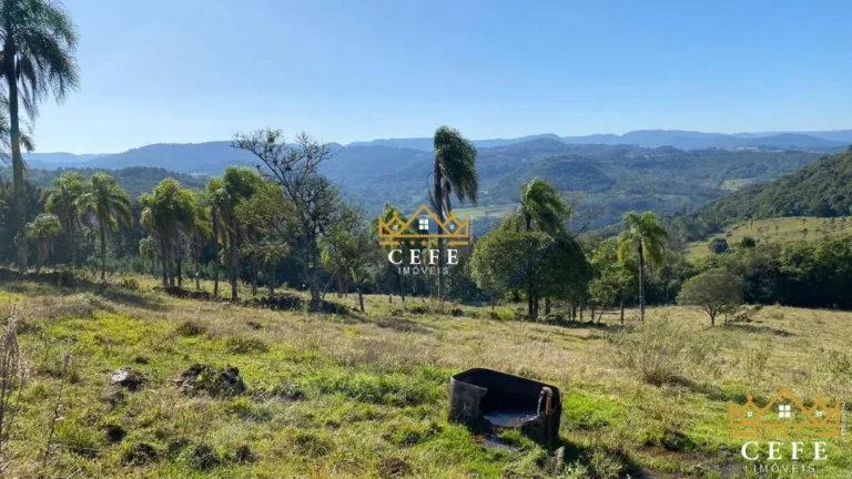 Imagem Chácara - Sítio com 2 Dormitorio(s) localizado(a) no bairro Zona Rural em Três Coroas / RIO GRANDE DO SUL Ref.:1390