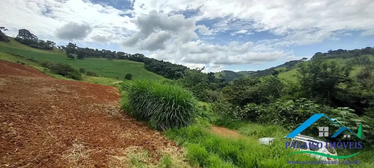 Imagem Invista em Sustentabilidade: Sítio com Nascentes e Preservação