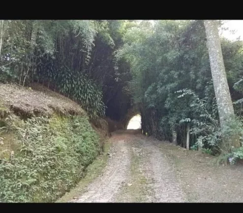Imagem PROPRIEDADE A VENDA COM 51.000M2 - LUMIAR/ BOA ESPERANCA. NOVA FRIBURGO