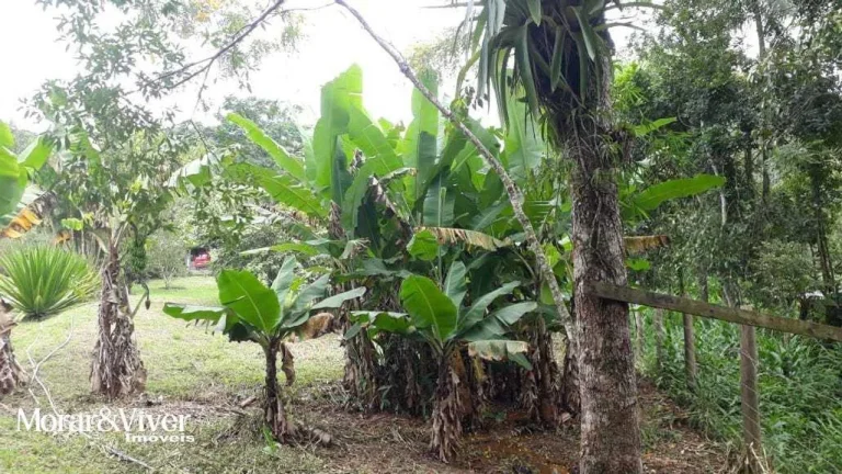 Imagem Sítio para Venda em Paranaguá, Alexandra, 3 dormitórios, 1 banheiro, 2 vagas