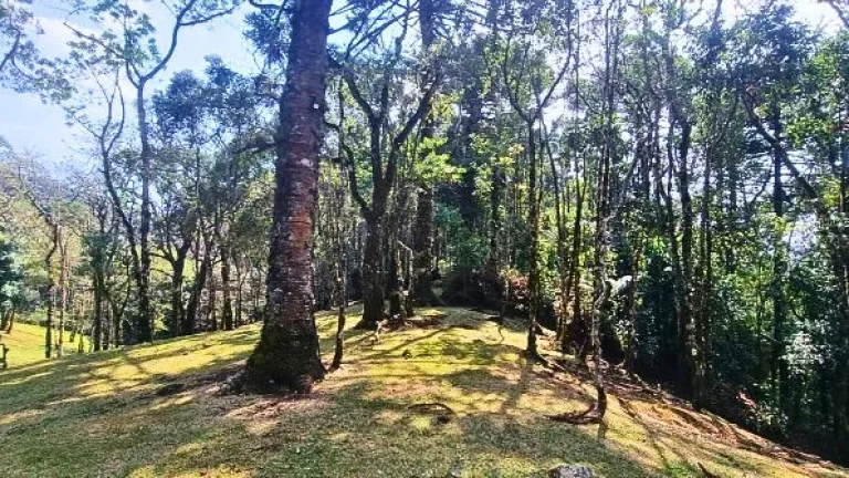 Imagem Arquitetura Autoral e Natureza Intocada: Um Refúgio Ímpar em Gonçalves