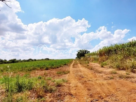Imagem Venda, área industrial, bairro Bonfim, em Paulínia!
Zoneamento ZD 1 (zona de desenvolvimento indus...