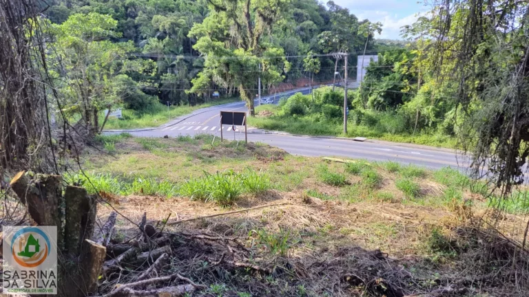 Imagem Lote/Terreno - Badenfurt - Blumenau