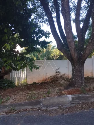 Imagem Terreno plano vila santista para investimento 8300 m2 menos área de preservação já detrminada