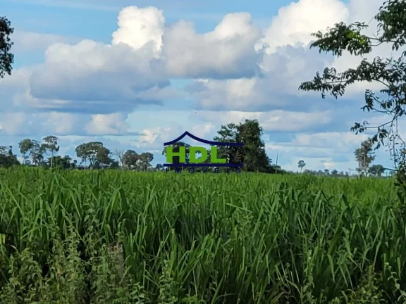 Imagem Fazenda especial 9.680 Hectares em Araguaiana MT