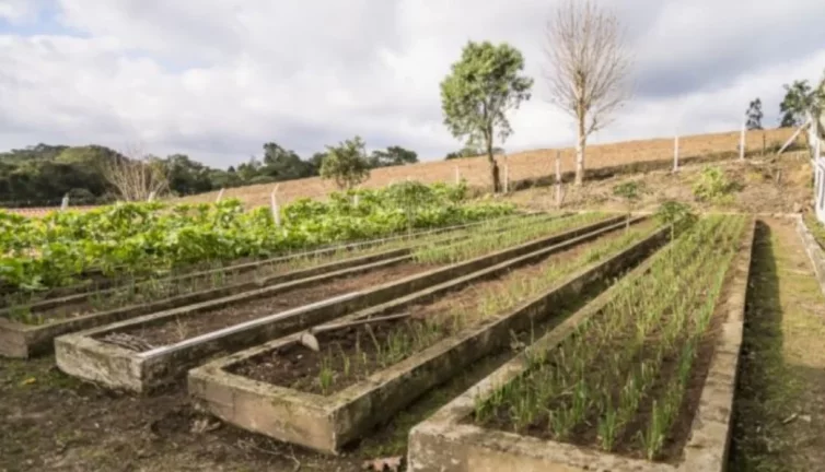 Imagem Fazenda para Venda - Roça Velha