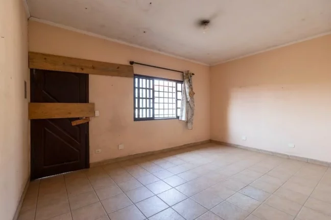 Imagem VDEG 116 Lote theremaxcollection-QYA3T
