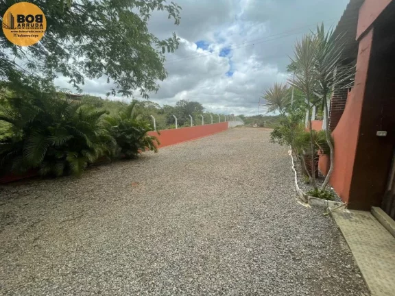 Imagem Terreno Padrão