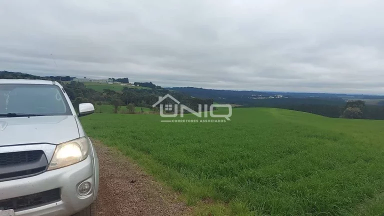 Imagem Fazenda de 47 Alqueires em Palmas - PR