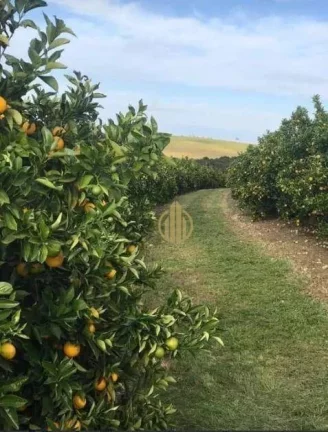 Imagem Fazenda à venda, 7986000 m² por R$ 120.000.000,00 - Centro - Botucatu/SP