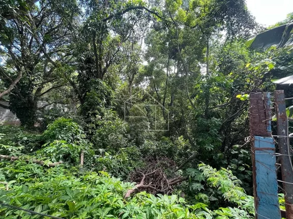 Imagem Área à venda, 10.800,00 m² por R$ 5.500.000 - Chácara Parreiral - Serra/ES