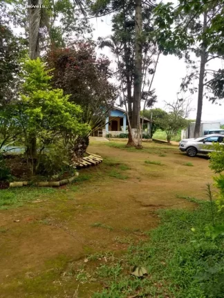 Imagem Sítio para Venda em Suzano, Ipelândia