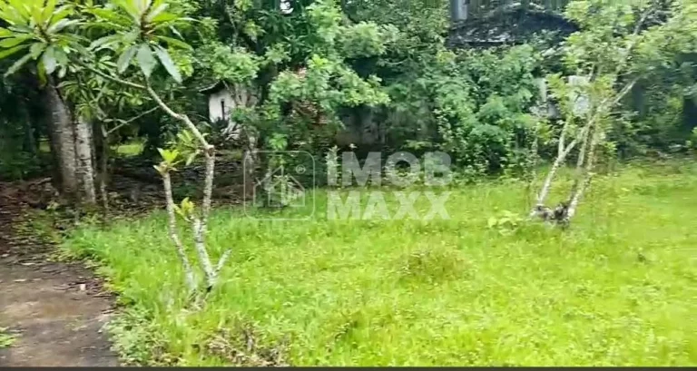 Imagem Chácara à Venda em Paranoá - DF250 - Fazenda Velha - 6,2 hectares - Escriturada e registrada.