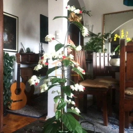 Imagem Apartamento 2 dormitórios, sendo 1 suíte, armários embutidos nos dormitórios e nos banheiros, ta...