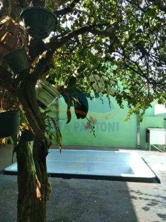 Imagem Casa - Ribeirão Preto - Vila Tibério - Região Oeste