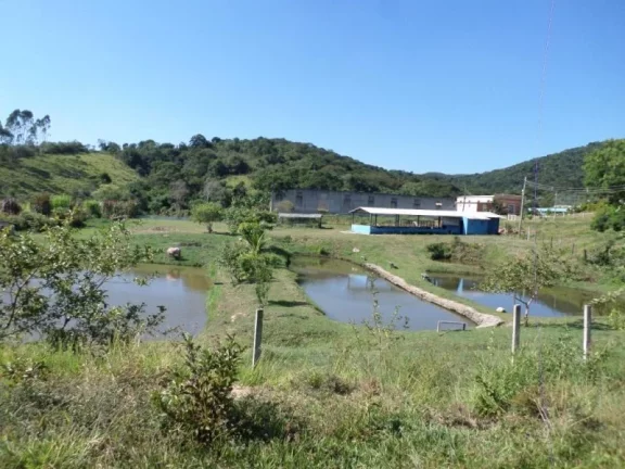 Imagem SITIO EM S.J.CAMPOS, PRÓXIMO DA CIDADE, COM CASA DE 3 DORMITÓRIOS (1 STE), 5 LAGOS PARA PESCARIA