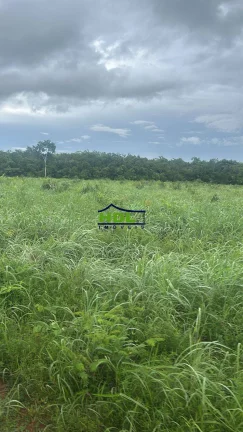 Imagem Fazenda 226 Alqs Dupla aptidão Natividade/TO