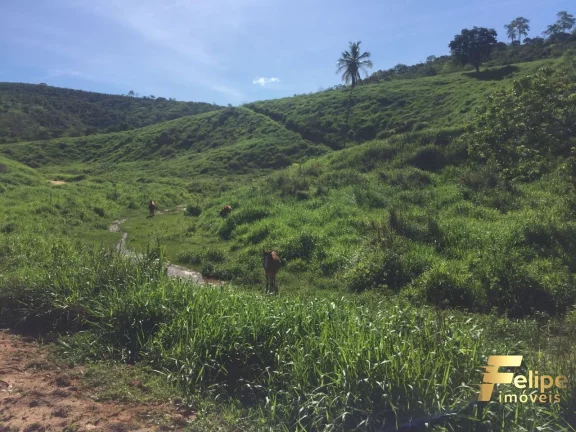 Imagem FAZENDA PRÓXIMO A COLATINA / REGIÃO NOROESTE