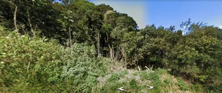 Imagem Terreno à venda, 700 m² por R$ 255.000,00 - Jardim Petrópolis (Santa Luzia) - Ribeirão Pires/SP