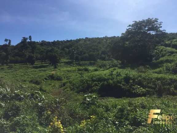 Imagem FAZENDA PRÓXIMO A COLATINA / REGIÃO NOROESTE