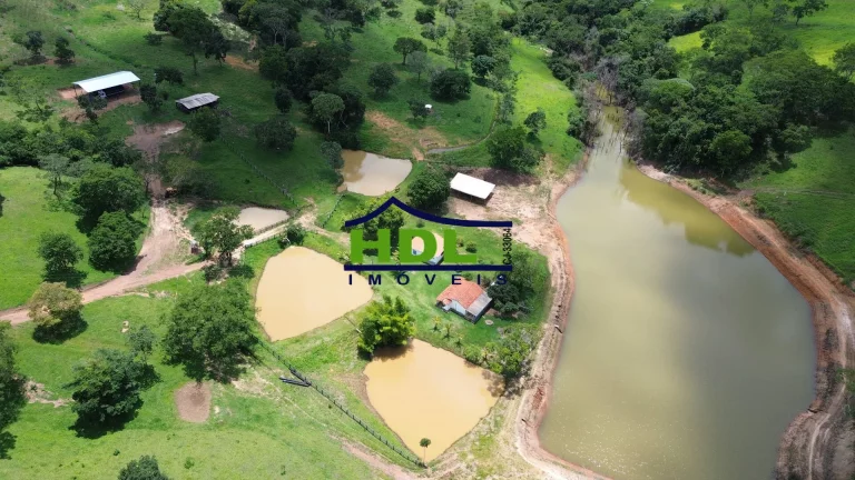 Imagem Fazenda Top para Criação de Gado 100 Kms de Goiânia