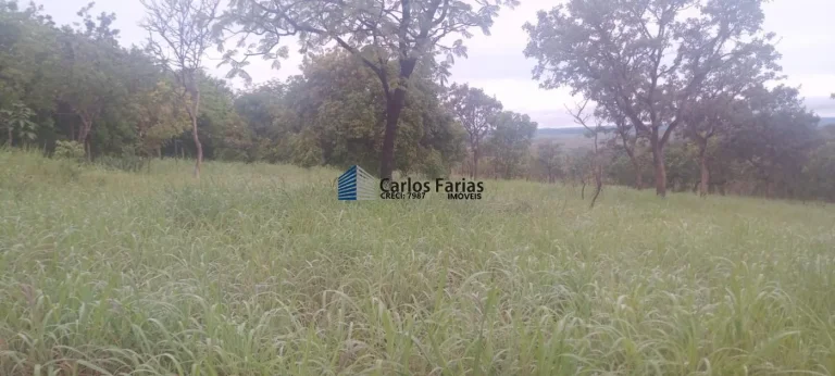 Imagem Chácara para Venda em Brasília, Setor Habitacional Tororó (Jardim Botânico), 1 dormitório, 1 banheiro, 2 vagas