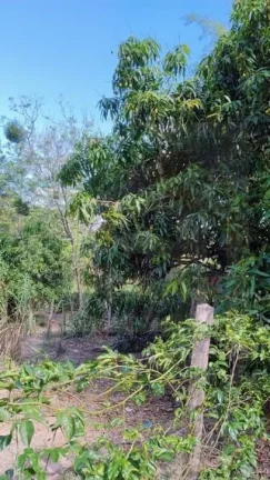 Imagem CH0359 - Chacara a venda em Bofete - aceito permuta Botucatu