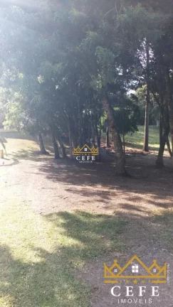 Imagem Chácara - Sítio com 2 Dormitorio(s) localizado(a) no bairro Padre Eterno Baixo em Santa Maria do Herval / RIO GRANDE DO SUL Ref.:1425