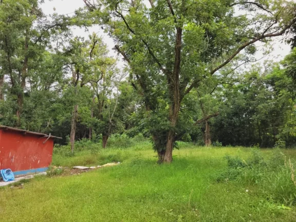 Imagem vende - sítio na região de Cabreúva-sp