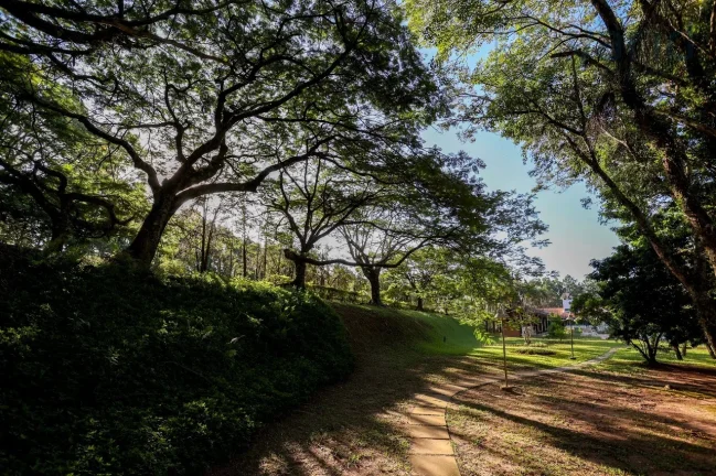 Imagem SITIO ALTO PADRÃO PARA VENDA NA ABADIA - LOUVEIRA SP