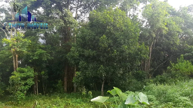Imagem ÁREA COM 2.000m² ZONA MISTA INDL E INCORPORAÇÃO DE PRÉDIO DE APARTAMENTOS.