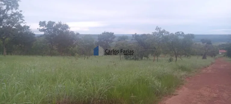 Imagem Chácara para Venda em Brasília, Setor Habitacional Tororó (Jardim Botânico), 1 dormitório, 1 banheiro, 2 vagas