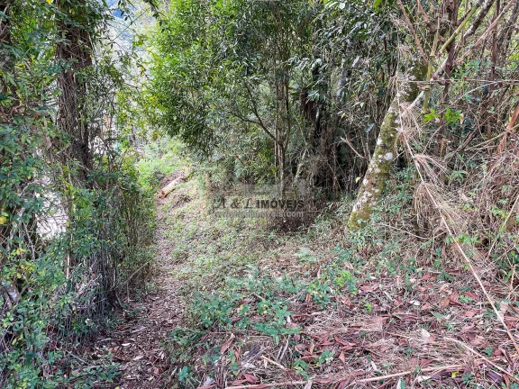 Imagem Terreno à venda em Campos do Jordão - Excelente opção para investimento