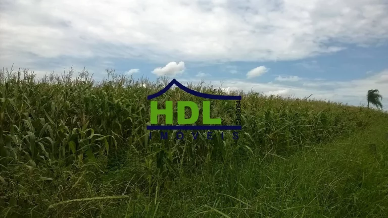 Imagem FAZENDA 38,5 ALQS EM PIRACANJUBA - GO