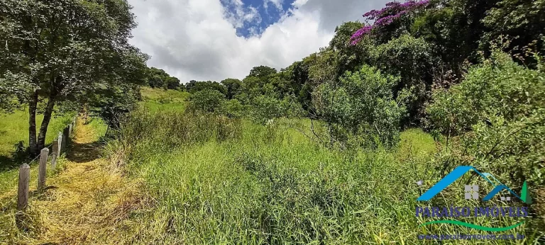 Imagem Paraíso Ecológico: Terreno com Nascente Própria e Vista para as Montanhas.
