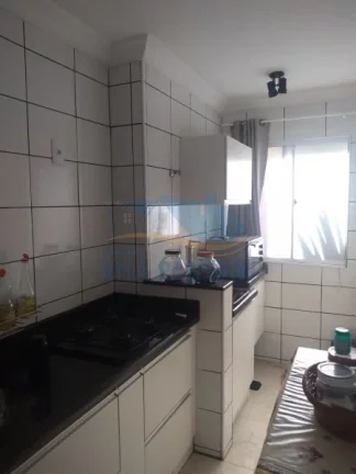 Imagem Apartamento - Ribeirão Preto - Jardim Herculano Fernandes - Região Norte