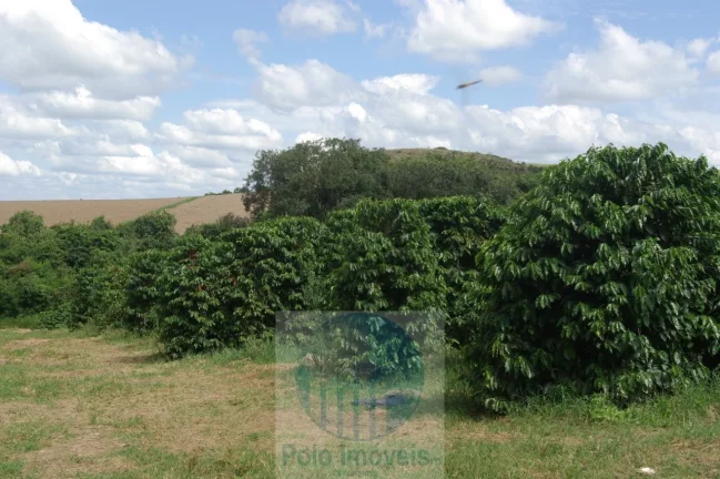 Imagem Fazenda com 140.000 pés de café produzindo, a 20 km de Jacuí Minas Gerais, casa de caseiro, energia e água.