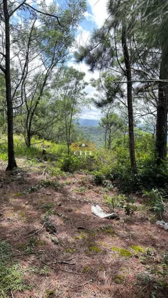 Imagem Terreno com 2 Dormitorio(s) localizado(a) no bairro Mato Comprido em Morro Reuter / RIO GRANDE DO SUL Ref.:1571
