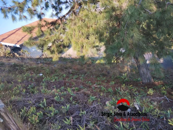 Imagem Terreno a Venda na Região do Jardim Sumaré em Campos do Jordão - SP.
