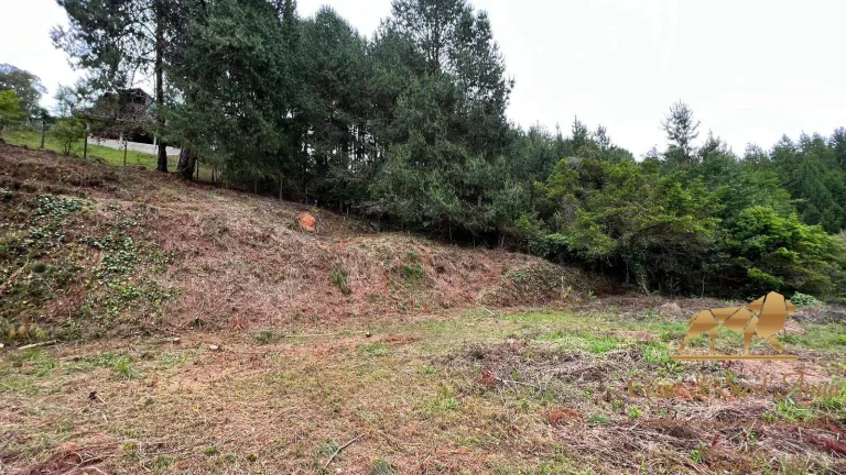 Imagem ÁREA DE 6500M² COM CASA EDIFICADA Á VENDA EM CAMPOS DO JORDÃO-SP
