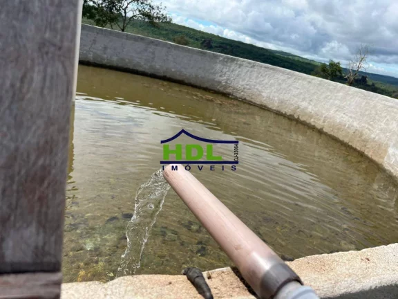 Imagem Fazenda 214 Aqls Dupla aptidão em Torixoréu/MT