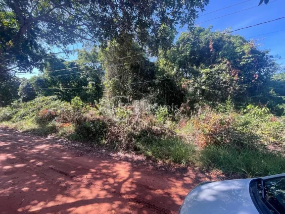 Imagem Chácara à Venda em Campo Grande-MS: 10.000 m² na Chácara dos Poderes!