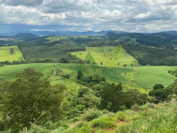 Imagem Fazenda de 75 Alqueires às Margens da Rodovia Fernão Dias Bragança Paulista
