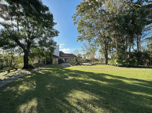 Imagem Fazendinha 10.490m² - Morar ou INCORPORAR: permite lotes de 450m²