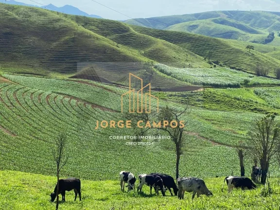 Imagem FA-26297 - FAZENDA À VENDA NA SÃO JOSÉ DO BARREIRO -SP
