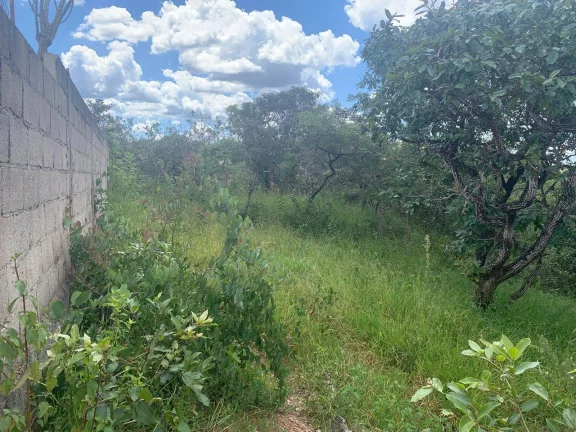 Imagem OFERTA !! CHÁCARA DE 1.123,50 M², EM JUATUBA!