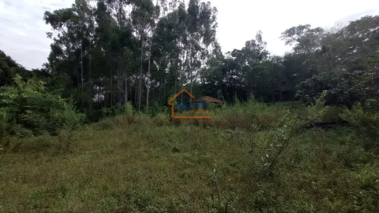 Imagem Sítio à venda no bairro Jardim Primavera - Mogi Mirim/SP